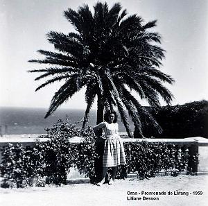 PL c- 117- Promenade de Letang C